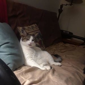 Meet your Posher, Genia